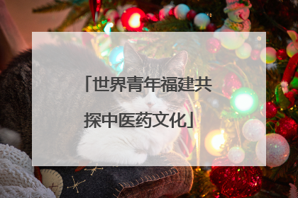 世界青年福建共探中医药文化